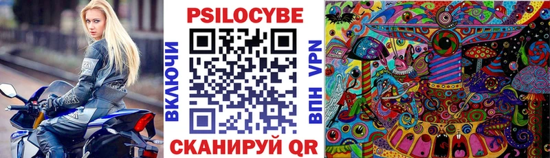 darknet наркотические препараты  Ноябрьск  Галлюциногенные грибы Cubensis 